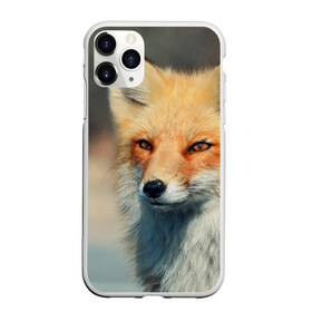 Чехол для iPhone 11 Pro матовый с принтом Лисица в Кировске, Силикон |  | fox | животное | зверь | красивая | лес | лис | лиса | лисенок | лисица | лисичка | мех | патрикеевна | песец | плутовка | прикольная | природа | рыжая | рыжий цвет | сказка | хвост | хитрая | хищник