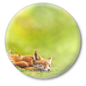 Значок с принтом Лисичка спит в Кировске,  металл | круглая форма, металлическая застежка в виде булавки | fox | животное | зверь | красивая | лес | лис | лиса | лисенок | лисица | лисичка | мех | патрикеевна | песец | плутовка | прикольная | природа | рыжая | рыжий цвет | сказка | хвост | хитрая | хищник