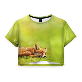 Женская футболка 3D укороченная с принтом Лисичка спит в Кировске, 100% полиэстер | круглая горловина, длина футболки до линии талии, рукава с отворотами | fox | животное | зверь | красивая | лес | лис | лиса | лисенок | лисица | лисичка | мех | патрикеевна | песец | плутовка | прикольная | природа | рыжая | рыжий цвет | сказка | хвост | хитрая | хищник