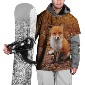 Накидка на куртку 3D с принтом Лиса в Кировске, 100% полиэстер |  | Тематика изображения на принте: fox | животное | зверь | красивая | лес | лис | лиса | лисенок | лисица | лисичка | мех | патрикеевна | песец | плутовка | прикольная | природа | рыжая | рыжий цвет | сказка | хвост | хитрая | хищник