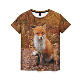 Женская футболка 3D с принтом Лиса в Кировске, 100% полиэфир ( синтетическое хлопкоподобное полотно) | прямой крой, круглый вырез горловины, длина до линии бедер | fox | животное | зверь | красивая | лес | лис | лиса | лисенок | лисица | лисичка | мех | патрикеевна | песец | плутовка | прикольная | природа | рыжая | рыжий цвет | сказка | хвост | хитрая | хищник