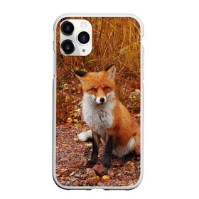 Чехол для iPhone 11 Pro матовый с принтом Лиса в Кировске, Силикон |  | fox | животное | зверь | красивая | лес | лис | лиса | лисенок | лисица | лисичка | мех | патрикеевна | песец | плутовка | прикольная | природа | рыжая | рыжий цвет | сказка | хвост | хитрая | хищник