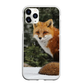 Чехол для iPhone 11 Pro матовый с принтом Лиса в Кировске, Силикон |  | fox | животное | зверь | красивая | лес | лис | лиса | лисенок | лисица | лисичка | мех | патрикеевна | песец | плутовка | прикольная | природа | рыжая | рыжий цвет | сказка | хвост | хитрая | хищник