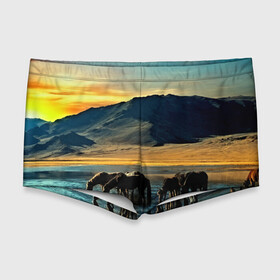 Мужские купальные плавки 3D с принтом Лошади в Кировске, Полиэстер 85%, Спандекс 15% |  | Тематика изображения на принте: 3d | берег | вода | горы | животное | закат | лошади | небо | прикольные | природа | река | солнце | яркие