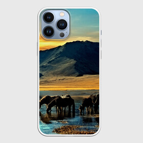 Чехол для iPhone 13 Pro Max с принтом Лошади в Кировске,  |  | 3d | берег | вода | горы | животное | закат | лошади | небо | прикольные | природа | река | солнце | яркие