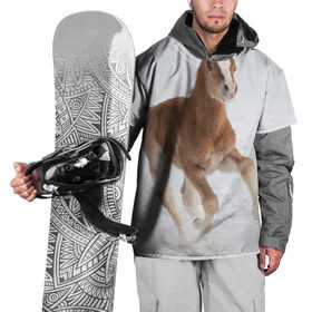 Накидка на куртку 3D с принтом Жеребенок в Кировске, 100% полиэстер |  | вожжи | голоп | грация | езда | есаул | жеребец | животное | кобыла | кобылица | конь | копыта | копыто | лошадь | пегас | пони | рысак | сбруя | скакун | скачет | скачка | стойло | троя