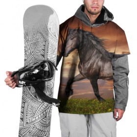 Накидка на куртку 3D с принтом Черный конь в Кировске, 100% полиэстер |  | Тематика изображения на принте: вожжи | голоп | грация | езда | есаул | жеребец | животное | кобыла | кобылица | конь | копыта | копыто | лошадь | пегас | пони | рысак | сбруя | скакун | скачет | стойло | троя