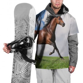 Накидка на куртку 3D с принтом Жеребец в Кировске, 100% полиэстер |  | Тематика изображения на принте: вожжи | голоп | грация | езда | есаул | жеребец | животное | кобыла | кобылица | конь | копыта | копыто | лошадь | пегас | пони | рысак | сбруя | скакун | скачет | скачка | стойло | троя