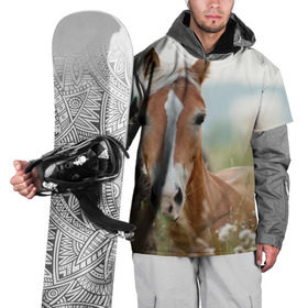 Накидка на куртку 3D с принтом Лошадь в Кировске, 100% полиэстер |  | Тематика изображения на принте: вожжи | голоп | грация | езда | есаул | жеребец | животное | кобыла | кобылица | конь | копыта | копыто | лошадь | пегас | пони | рысак | сбруя | скакун | скачет | скачка | стойло | троя