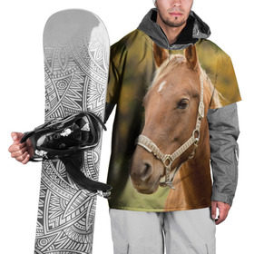 Накидка на куртку 3D с принтом Лошадь в Кировске, 100% полиэстер |  | вожжи | голоп | грация | езда | есаул | жеребец | животное | кобыла | кобылица | конь | копыта | копыто | лошадь | пегас | пони | рысак | сбруя | скакун | скачет | скачка | стойло | троя