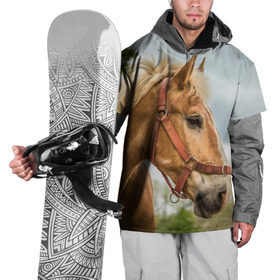 Накидка на куртку 3D с принтом Лошадка в Кировске, 100% полиэстер |  | вожжи | голоп | грация | езда | есаул | жеребец | животное | кобыла | кобылица | конь | копыта | копыто | лошадь | пегас | пони | рысак | сбруя | скакун | скачет | скачка | стойло | троя