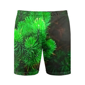 Мужские шорты 3D спортивные с принтом Зелёная ель в Кировске,  |  | 3d | ёлка | ель | зелёный | лес | новый год | праздник | природа | текстура | фон