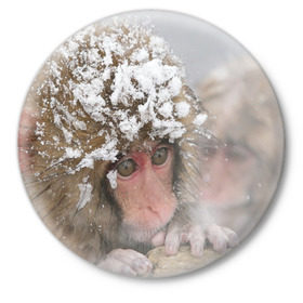 Значок с принтом Обезьянка и зима в Кировске,  металл | круглая форма, металлическая застежка в виде булавки | бабуин | гамадрил | гиббон | горилла | гуманоид | дарвин | животное | зоопарк | кинг конг | мартышка | маугли | обезьяна | орангутанг | предок | примат | рожа | хомо сапиенс | шимпанзе
