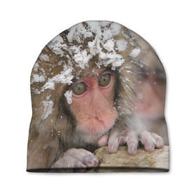 Шапка 3D с принтом Обезьянка и зима в Кировске, 100% полиэстер | универсальный размер, печать по всей поверхности изделия | бабуин | гамадрил | гиббон | горилла | гуманоид | дарвин | животное | зоопарк | кинг конг | мартышка | маугли | обезьяна | орангутанг | предок | примат | рожа | хомо сапиенс | шимпанзе