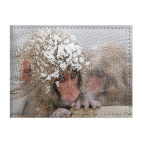 Обложка для студенческого билета с принтом Обезьянка и зима в Кировске, натуральная кожа | Размер: 11*8 см; Печать на всей внешней стороне | бабуин | гамадрил | гиббон | горилла | гуманоид | дарвин | животное | зоопарк | кинг конг | мартышка | маугли | обезьяна | орангутанг | предок | примат | рожа | хомо сапиенс | шимпанзе