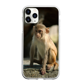Чехол для iPhone 11 Pro Max матовый с принтом Мартышка в Кировске, Силикон |  | животное | мартышка | обезьяна | примат