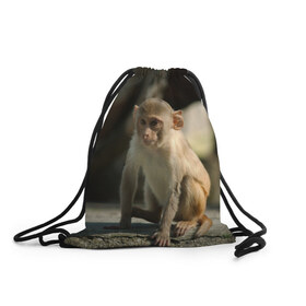 Рюкзак-мешок 3D с принтом Мартышка в Кировске, 100% полиэстер | плотность ткани — 200 г/м2, размер — 35 х 45 см; лямки — толстые шнурки, застежка на шнуровке, без карманов и подкладки | Тематика изображения на принте: животное | мартышка | обезьяна | примат