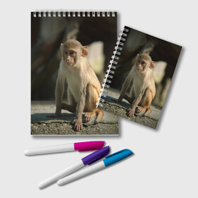 Блокнот с принтом Мартышка в Кировске, 100% бумага | 48 листов, плотность листов — 60 г/м2, плотность картонной обложки — 250 г/м2. Листы скреплены удобной пружинной спиралью. Цвет линий — светло-серый
 | Тематика изображения на принте: животное | мартышка | обезьяна | примат