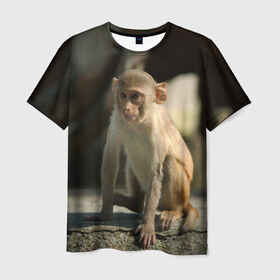 Мужская футболка 3D с принтом Мартышка в Кировске, 100% полиэфир | прямой крой, круглый вырез горловины, длина до линии бедер | животное | мартышка | обезьяна | примат