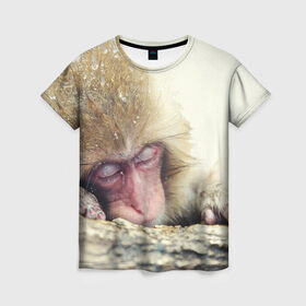 Женская футболка 3D с принтом Обезьянка спит в Кировске, 100% полиэфир ( синтетическое хлопкоподобное полотно) | прямой крой, круглый вырез горловины, длина до линии бедер | бабуин | животное | обезьяна | орангутанг | примат
