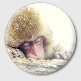 Значок с принтом Обезьянка спит в Кировске,  металл | круглая форма, металлическая застежка в виде булавки | бабуин | животное | обезьяна | орангутанг | примат