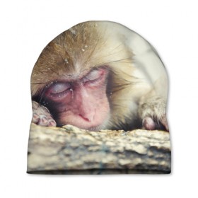 Шапка 3D с принтом Обезьянка спит в Кировске, 100% полиэстер | универсальный размер, печать по всей поверхности изделия | бабуин | животное | обезьяна | орангутанг | примат