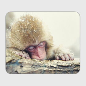 Коврик прямоугольный с принтом Обезьянка спит в Кировске, натуральный каучук | размер 230 х 185 мм; запечатка лицевой стороны | бабуин | животное | обезьяна | орангутанг | примат