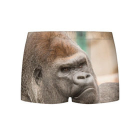 Мужские трусы 3D с принтом Обезьяна в Кировске, 50% хлопок, 50% полиэстер | классическая посадка, на поясе мягкая тканевая резинка | Тематика изображения на принте: горилла | животное | обезьяна | примат