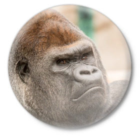 Значок с принтом Обезьяна в Кировске,  металл | круглая форма, металлическая застежка в виде булавки | горилла | животное | обезьяна | примат
