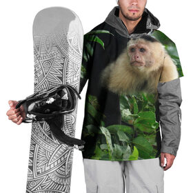 Накидка на куртку 3D с принтом Обезьянка в джунглях в Кировске, 100% полиэстер |  | бабуин | гамадрил | гиббон | горилла | гуманоид | дарвин | животное | зоопарк | кинг конг | мартышка | маугли | обезьяна | орангутанг | предок | примат | рожа | хомо сапиенс | шимпанзе