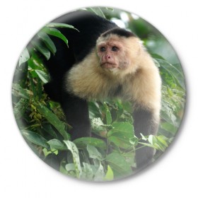 Значок с принтом Обезьянка в джунглях в Кировске,  металл | круглая форма, металлическая застежка в виде булавки | бабуин | гамадрил | гиббон | горилла | гуманоид | дарвин | животное | зоопарк | кинг конг | мартышка | маугли | обезьяна | орангутанг | предок | примат | рожа | хомо сапиенс | шимпанзе