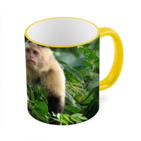 Кружка 3D с принтом Обезьянка в джунглях в Кировске, керамика | ёмкость 330 мл | Тематика изображения на принте: бабуин | гамадрил | гиббон | горилла | гуманоид | дарвин | животное | зоопарк | кинг конг | мартышка | маугли | обезьяна | орангутанг | предок | примат | рожа | хомо сапиенс | шимпанзе