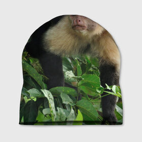 Шапка 3D с принтом Обезьянка в джунглях в Кировске, 100% полиэстер | универсальный размер, печать по всей поверхности изделия | Тематика изображения на принте: бабуин | гамадрил | гиббон | горилла | гуманоид | дарвин | животное | зоопарк | кинг конг | мартышка | маугли | обезьяна | орангутанг | предок | примат | рожа | хомо сапиенс | шимпанзе
