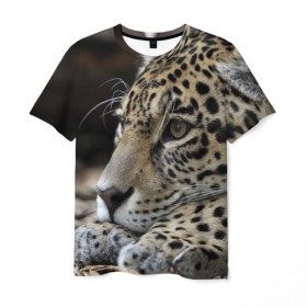 Мужская футболка 3D с принтом Леопард в Кировске, 100% полиэфир | прямой крой, круглый вырез горловины, длина до линии бедер | Тематика изображения на принте: властелин | грация | животные | зверь | кот | кошачий | кошки | крупный | леопард | лес | милый | млекопитающее | природа | пятна | рыжий | усатый | усы | фауна | флора | хищник | хозяин | царь джунгли