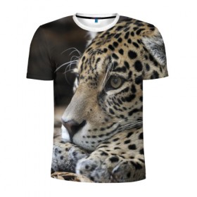 Мужская футболка 3D спортивная с принтом Леопард в Кировске, 100% полиэстер с улучшенными характеристиками | приталенный силуэт, круглая горловина, широкие плечи, сужается к линии бедра | властелин | грация | животные | зверь | кот | кошачий | кошки | крупный | леопард | лес | милый | млекопитающее | природа | пятна | рыжий | усатый | усы | фауна | флора | хищник | хозяин | царь джунгли