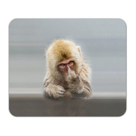 Коврик прямоугольный с принтом Японская макака в Кировске, натуральный каучук | размер 230 х 185 мм; запечатка лицевой стороны | макак | мартышка | обезьяна | палец | япония