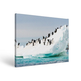 Холст прямоугольный с принтом Пингвины на айсберге в Кировске, 100% ПВХ |  | айсберг | антарктида | антарктика | арктика | буревестник | глупый | императорский | клюв | королевский | крылья | ласты | лёд | линукс | океан | пилигрим | полюс | птица | север | снег | умка | фрак