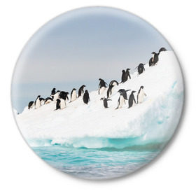 Значок с принтом Пингвины на айсберге в Кировске,  металл | круглая форма, металлическая застежка в виде булавки | айсберг | антарктида | антарктика | арктика | буревестник | глупый | императорский | клюв | королевский | крылья | ласты | лёд | линукс | океан | пилигрим | полюс | птица | север | снег | умка | фрак