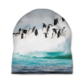 Шапка 3D с принтом Пингвины на айсберге в Кировске, 100% полиэстер | универсальный размер, печать по всей поверхности изделия | айсберг | антарктида | антарктика | арктика | буревестник | глупый | императорский | клюв | королевский | крылья | ласты | лёд | линукс | океан | пилигрим | полюс | птица | север | снег | умка | фрак