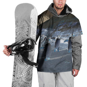 Накидка на куртку 3D с принтом Ночные пингвины в горах в Кировске, 100% полиэстер |  | Тематика изображения на принте: 