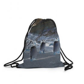 Рюкзак-мешок 3D с принтом Ночные пингвины в горах в Кировске, 100% полиэстер | плотность ткани — 200 г/м2, размер — 35 х 45 см; лямки — толстые шнурки, застежка на шнуровке, без карманов и подкладки | 