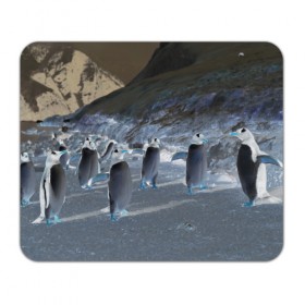 Коврик прямоугольный с принтом Ночные пингвины в горах в Кировске, натуральный каучук | размер 230 х 185 мм; запечатка лицевой стороны | 