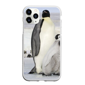 Чехол для iPhone 11 Pro матовый с принтом Пингвин и пингвинята в Кировске, Силикон |  | Тематика изображения на принте: айсберг | антарктида | антарктика | арктика | буревестник | глупый | императорский | клюв | королевский | крылья | ласты | лёд | линукс | океан | пилигрим | полюс | птица | север | снег | умка | фрак