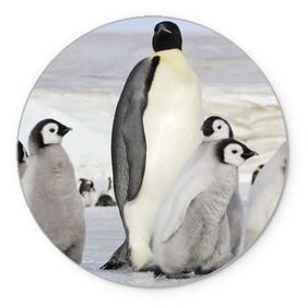 Коврик круглый с принтом Пингвин и пингвинята в Кировске, резина и полиэстер | круглая форма, изображение наносится на всю лицевую часть | айсберг | антарктида | антарктика | арктика | буревестник | глупый | императорский | клюв | королевский | крылья | ласты | лёд | линукс | океан | пилигрим | полюс | птица | север | снег | умка | фрак