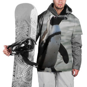 Накидка на куртку 3D с принтом Пингвин в Кировске, 100% полиэстер |  | Тематика изображения на принте: 