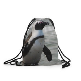 Рюкзак-мешок 3D с принтом Пингвин в Кировске, 100% полиэстер | плотность ткани — 200 г/м2, размер — 35 х 45 см; лямки — толстые шнурки, застежка на шнуровке, без карманов и подкладки | 