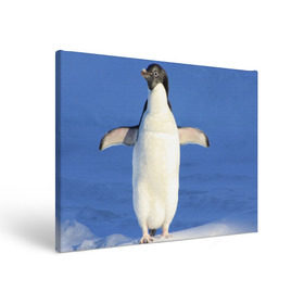 Холст прямоугольный с принтом Пингвин в Кировске, 100% ПВХ |  | айсберг | антарктида | антарктика | арктика | буревестник | глупый | императорский | клюв | королевский | крылья | ласты | лёд | линукс | океан | пилигрим | полюс | птица | север | снег | умка | фрак