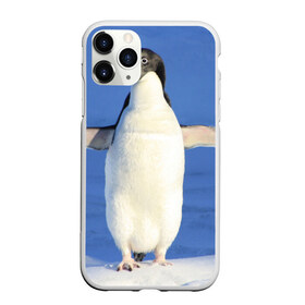 Чехол для iPhone 11 Pro Max матовый с принтом Пингвин в Кировске, Силикон |  | айсберг | антарктида | антарктика | арктика | буревестник | глупый | императорский | клюв | королевский | крылья | ласты | лёд | линукс | океан | пилигрим | полюс | птица | север | снег | умка | фрак