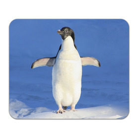 Коврик прямоугольный с принтом Пингвин в Кировске, натуральный каучук | размер 230 х 185 мм; запечатка лицевой стороны | айсберг | антарктида | антарктика | арктика | буревестник | глупый | императорский | клюв | королевский | крылья | ласты | лёд | линукс | океан | пилигрим | полюс | птица | север | снег | умка | фрак