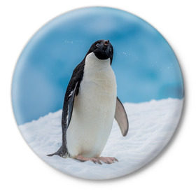 Значок с принтом Пингвин на айсберге в Кировске,  металл | круглая форма, металлическая застежка в виде булавки | айсберг | антарктида | антарктика | арктика | буревестник | глупый | императорский | клюв | королевский | крылья | ласты | лёд | линукс | океан | пилигрим | полюс | птица | север | снег | умка | фрак
